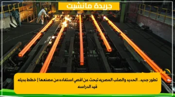 تطور جديد.. الحديد والصلب المصرية تبحث عن أقصى استفادة من مصنعها خطط بديلة قيد الدراسة 1